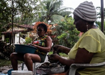 Quilombo Kaonge tem economia liderada por mulheres marisqueiras de Cachoeira