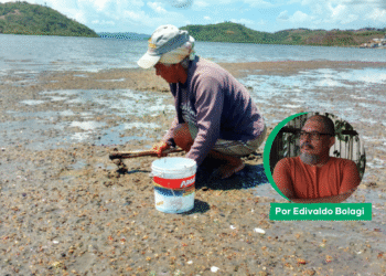 Cidade das Mulheres: o grito da maré e o útero da resistência