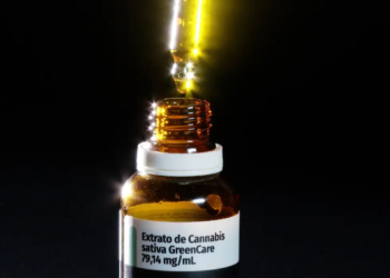 Anvisa autoriza cultivo de cannabis medicinal por empresas e amplia acesso a tratamentos no Brasil