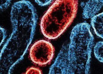 OMS diz que risco de propagação do vírus Nipah a partir da Índia é baixo