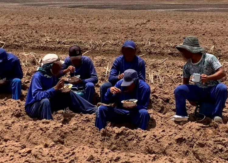 Resgatados de trabalho escravo passam por formação inédita em Salvador e se tornam especialistas no combate à prática