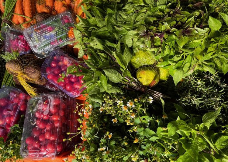 Salvador sedia Encontro de Pesquisas em Gastronomias do Brasil em junho