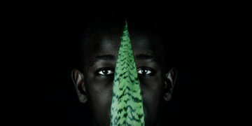 Ecologia de Sentidos: Exposição fotografia baiana contemporânea chega a Salvador em junho