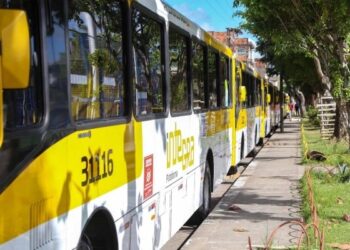 Trobogy e Canabrava ganham novas linhas de ônibus a partir deste sábado (9)