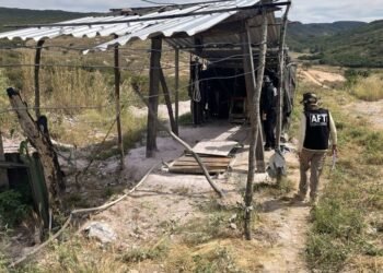 Ministério do Trabalho e Emprego resgata 69 trabalhadores em condições análogas à escravidão no interior da Bahia