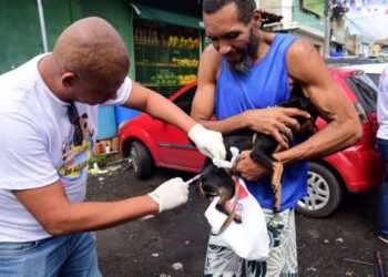 Campanha antirrábica 2026 começa nesta segunda-feira em Salvador com mais de 90 pontos de vacinação