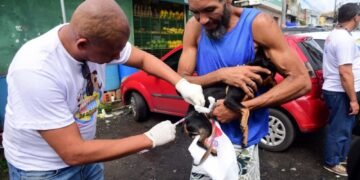 Campanha antirrábica 2026 começa nesta segunda-feira em Salvador com mais de 90 pontos de vacinação