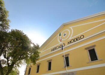 Projeto Patrimônio É… promove roda de conversa gratuita sobre o protagonismo feminino na capoeira