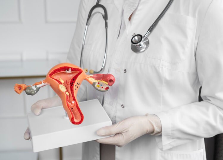 Governo abre chamada pública para financiar pesquisas sobre endometriose e saúde menstrual