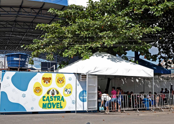 Castramóvel oferece castração gratuita de cães e gatos na Avenida Paralela a partir de terça-feira (8)