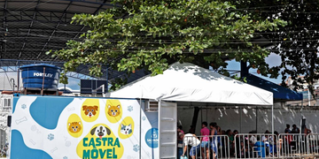 Castramóvel oferece castração gratuita de cães e gatos na Avenida Paralela a partir de terça-feira (8)