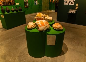 Exposição gratuita ‘Atlântico Sertão’ reúne mais de 80 artistas no Museu de Arte da Bahia