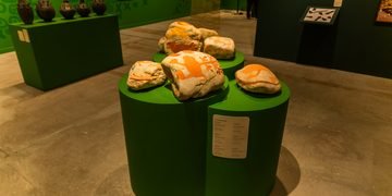 Exposição gratuita ‘Atlântico Sertão’ reúne mais de 80 artistas no Museu de Arte da Bahia