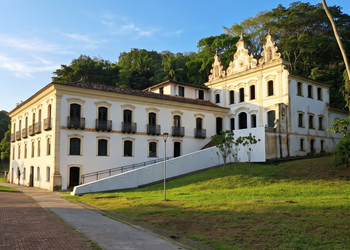 Museu do Recôncavo abre exposição inspirada na obra de Frans Krajcberg neste sábado (17)