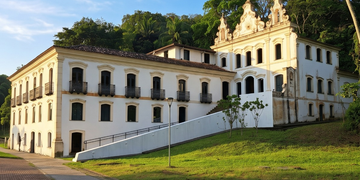 Museu do Recôncavo abre exposição inspirada na obra de Frans Krajcberg neste sábado (17)